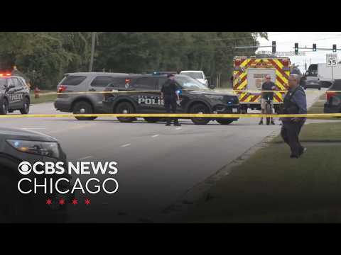 Man shot by police during domestic disturbance in Des Plaines