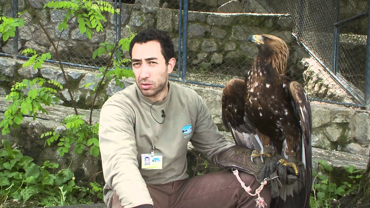 Belgrade Zoo 2011 Episode 5 Part 4