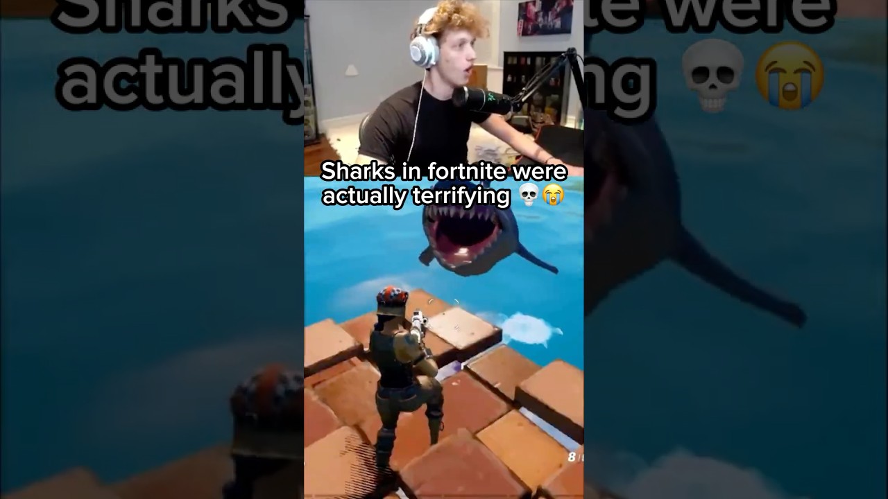 FORGOT SHARKS WERE THIS CRAZY.. 😭💔