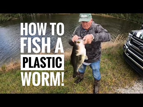 How to fish a plastic worm plus a giant Bass