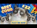 COUB #22 | ЛУЧШЕЕ ЗА МАЙ 2019 | Best Cube | Best Coub | июнь  Best Fails  Funny  Extra Coub