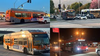 Busfanning LACMTA & Foothill Transit at Huntington/Rosemead