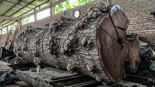 Unbelievable Sawmill Moment ‼️ Rolling a Massive Trembesi Log