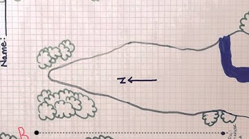 Distance vs. Displacement