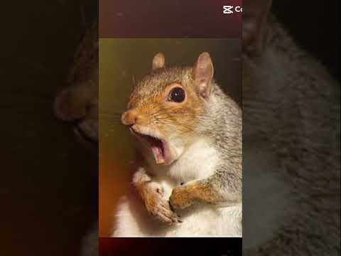 ผลสลากกินแบ่งรัฐบาล วันที่ 1 พย. 2567