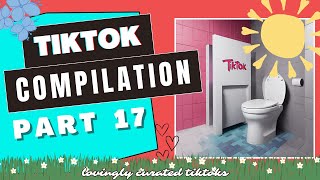 TikTok Compilation #17