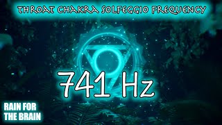 Heal Your Throat Chakra & Detox Negativity | 741 Hz Frequency Meditation Music