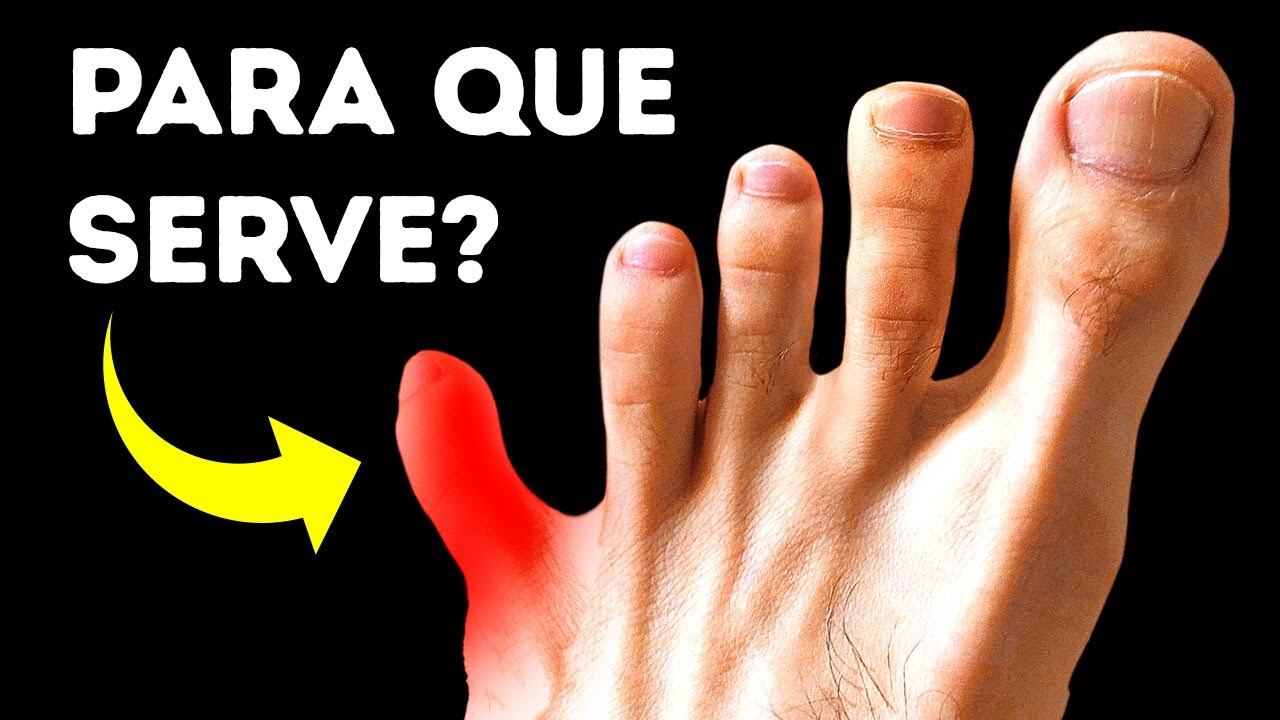 Você tem dentes do siso?