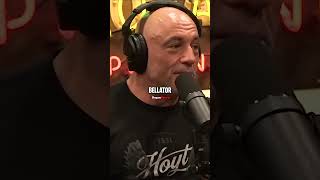 Joe Rogan on Dillon Dannis Pulling Out of Logan Paul Fight