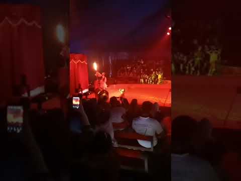 سرك عمار