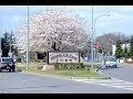 So you're moving to Misawa? | PCSing Questions | Air Force