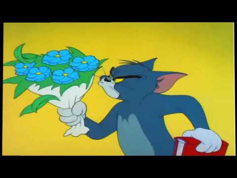 Jerry's Diary