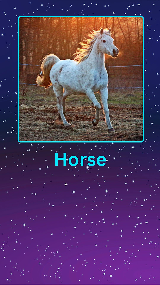 Horse Pronunciation American English language english horse-pronunciation-american-english-language-english