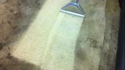 Chemical Free Carpet Cleaning