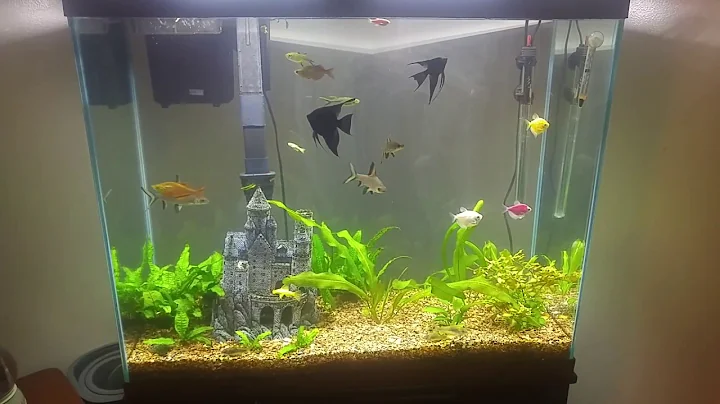 Aquarium
