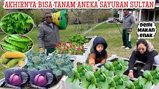 KEMBALI BERKEBUN| DEMI MAKAN ENAK NYEMAI BIBIT SAYUR SULTAN DI AMERIKA