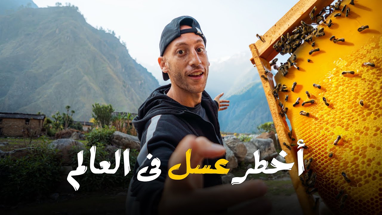 عسل الهلوسة - أخطر وأغلى عسل فى العالم 🇳🇵 Mad Honey Hunters