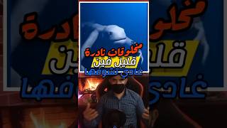 مخلوقات نادرة قليل فين غادي تشوفها !!🤯