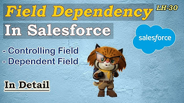 Field Dependency in Salesforce LH-30|Controlling & Dependent Field | Salesforce Complete Course 2024