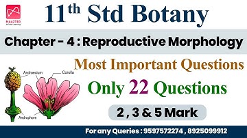 11th Std Botany | Chapter - 4 | Most Important Questions | Only 22 Questions - Public Centum Plan