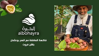 فاكهة العاطفة مع العم بوعثمان ‍ ( الباشن فروت ) | Albohayra