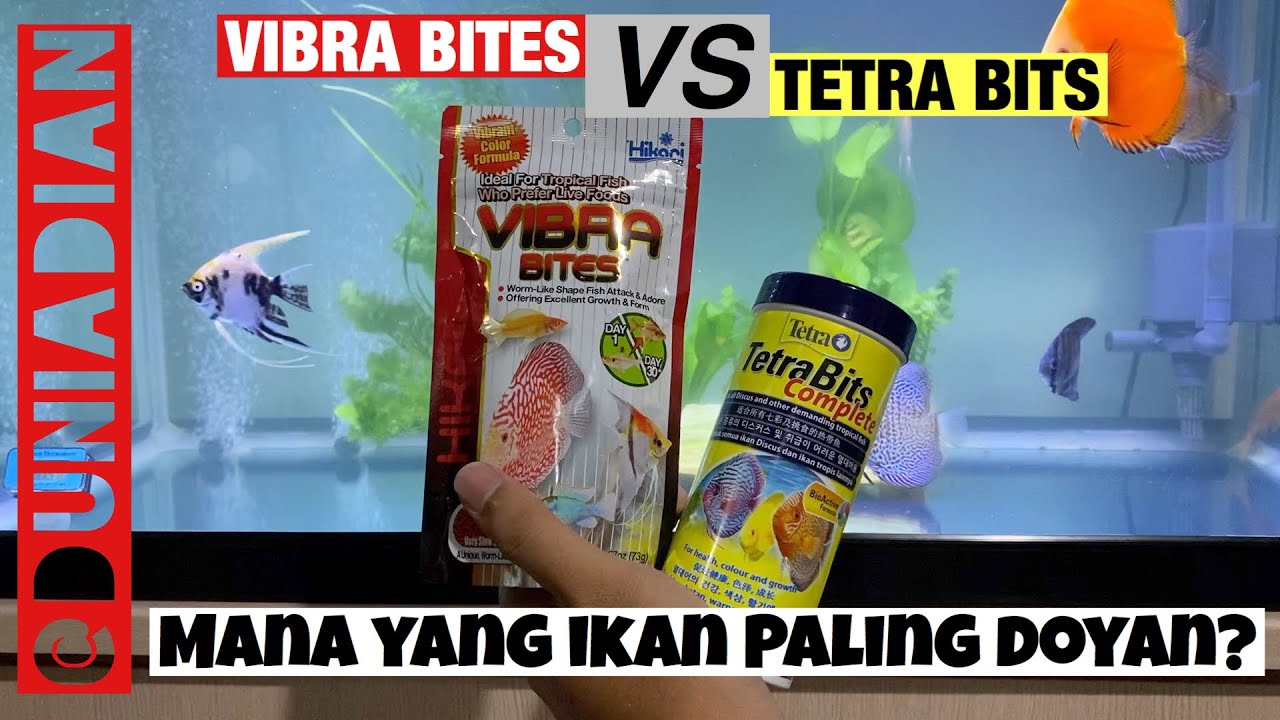 PELET IKAN DISCUS | Tetra Bits VS Hikari Vibra Bites, Mana Yang Terbaik?