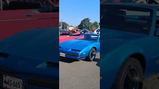 Car Show with my kid