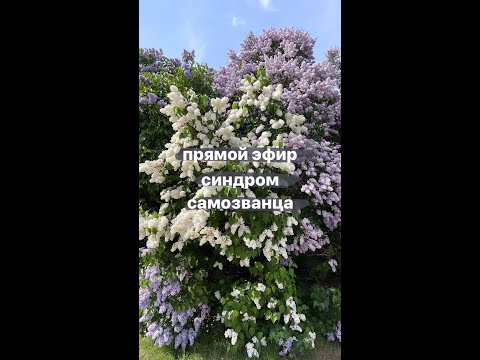 синдром самозванца