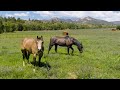 River front equine mountain paradise for sale  durango colorado