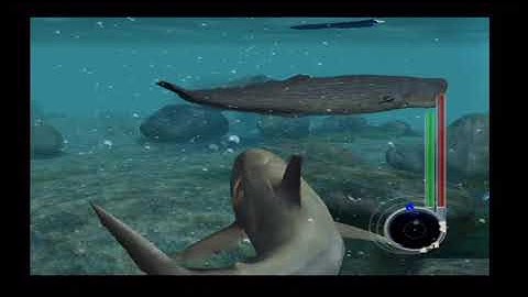 Jaws Unleashed - Sperm Whales