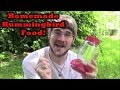 Easy Homemade Hummingbird Food Recipe and Setting up the Feeders!