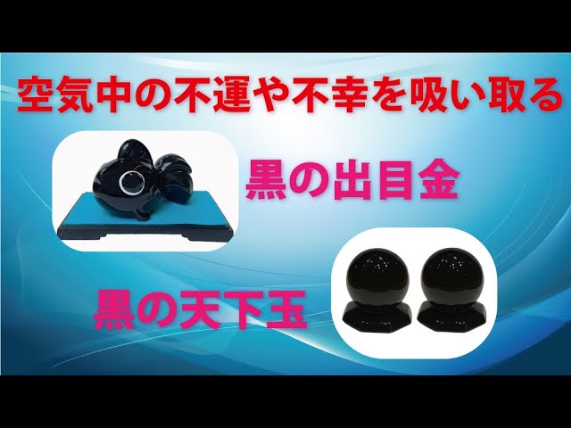黒の出目金・天下玉 - YouTube