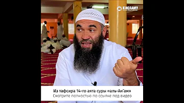 Какая акыда принимается у Аллаха и кто идёт по прямому пути? #shorts Ринат Абу Мухаммад
