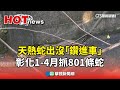 蛇出沒現象