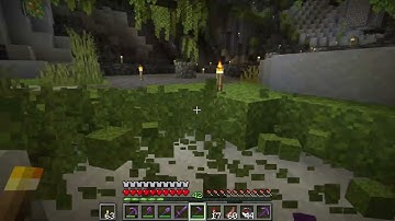 Moss Block guide, what tool to use to gather them fast ? - Minecraft 1.21