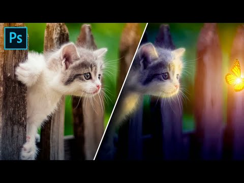 МЫСЫҚ ЖӘНЕ КӨБЕЛЕК | ҚАЛАЙ АРТ ЖАСАУ | Cat Butterfly Manipulation Photoshop Tutorial