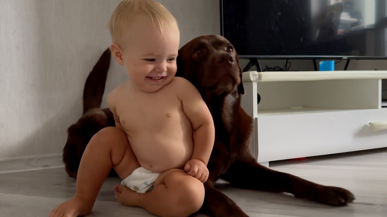 When your dog is the most patient big brother