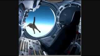Felix Baumgartner Cat Red Bull Stratos JUMP- ORIGINAL VERSION