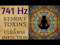 741 hz tone with music  remove toxins  purify and cleanse the body