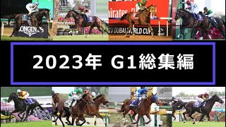 【競馬】2023年G1総集編【最後の直線まとめ】