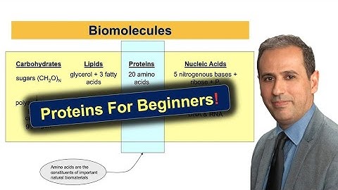 How Protein Interactions & Biomaterials Can Transform Our World | #BME210