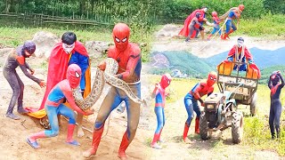 SUPER HERO | Spider-Man Tractor and Hacker Fight the Giant Python | Funny video