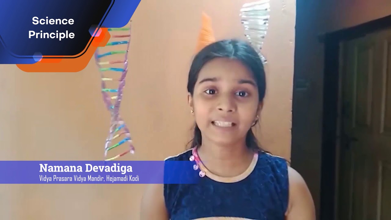 DNA - Model Making Competition | NSP 2020-21 | STEM Learning - YouTube