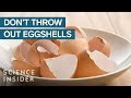 Why You Should Stop Throwing Out Your Eggshells Mp3 Song