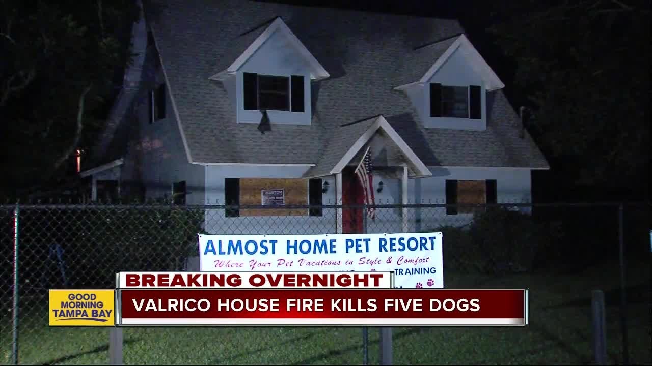 Five dogs die in house fire at pet resort in Valrico - YouTube