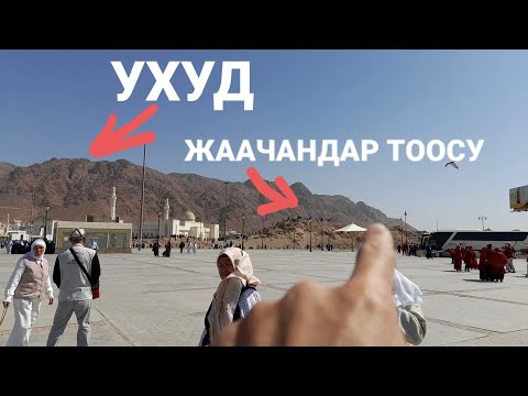 Видео: Сүү уснаас илүү жинтэй юу?