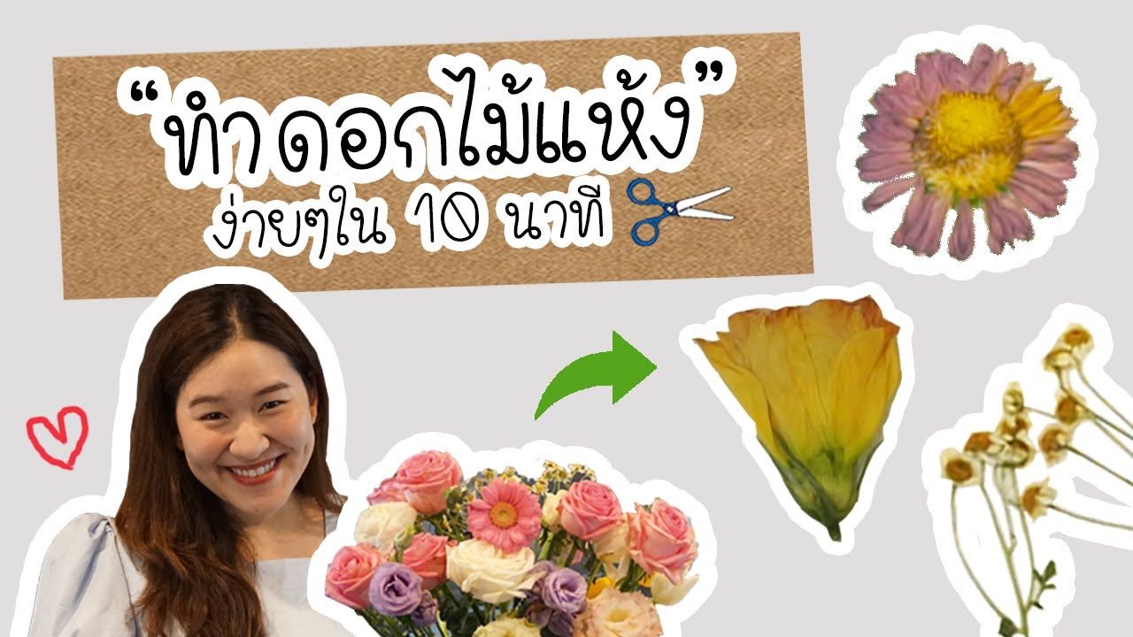 DIY ทำดอกไม้แห้งง่ายๆ 💐🌹🌷 ด้วยไมโครเวฟ  l Easy Pressed Flowers with Microwave