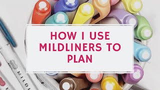 How I Use Zebra Mildliners To Plan