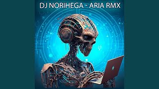 Aria (Rmx)