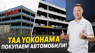 : TAA YOKOHAMA  !